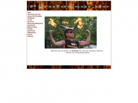 pyrofessor.de Webseite Vorschau