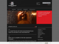 pyromin.ch Webseite Vorschau