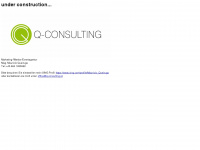 q-consulting.at Webseite Vorschau