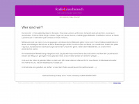 radiolauschrausch.de Webseite Vorschau