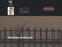 radiologie-amberg.de Webseite Vorschau