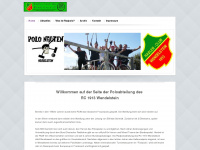 radpolo.de Webseite Vorschau