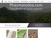 phasmatodea.com Webseite Vorschau