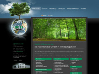 rb-holz.at Webseite Vorschau