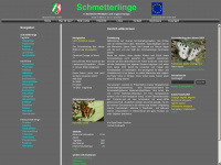 real-e-schule.de Webseite Vorschau