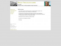 regez-treuhand.ch Webseite Vorschau
