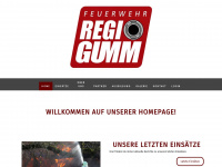 regiogumm.ch Webseite Vorschau