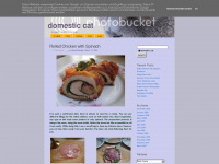 domesticcat.blogspot.com
