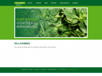 renegade38.ch Webseite Vorschau