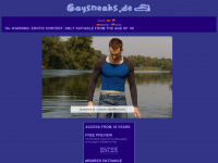 gaysneaks.de Webseite Vorschau