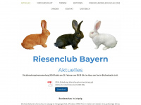 riesenclub-bayern.de Webseite Vorschau