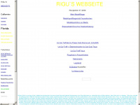 rigu.at Webseite Vorschau