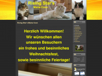 risingstars.de Webseite Vorschau