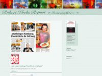 robert-krebs-report.de Webseite Vorschau