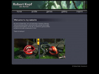 robertkopf.de Webseite Vorschau