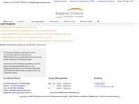 roppenser-partner.at Webseite Vorschau