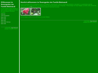 rosengarten-markwardt.de Webseite Vorschau