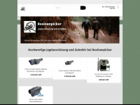 rosinenpicker.ch Webseite Vorschau