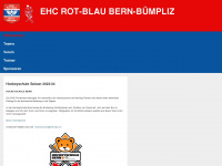 rot-blau.ch Webseite Vorschau