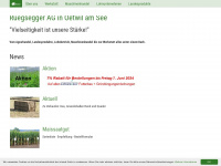 rueegseggerag.ch Webseite Vorschau