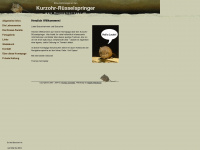 ruesselspringer.ch Webseite Vorschau