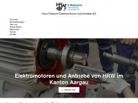 ruetschi-elektromotoren.ch Webseite Vorschau