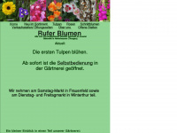 rufer-blumen.ch Webseite Vorschau
