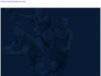 rugby-noe.at Webseite Vorschau
