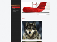 saarloos-wolfhond.ch Webseite Vorschau
