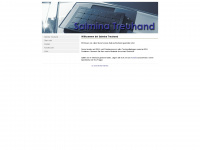 salmina.ch Webseite Vorschau