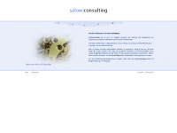 salow-consulting.de Webseite Vorschau
