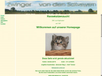 salveykatzen.de Webseite Vorschau