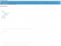 salzunger-stahlkontor.de Webseite Vorschau