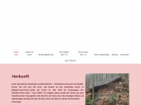 samichlaus-rueti.ch Webseite Vorschau
