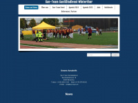 san-team.ch Webseite Vorschau