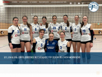 le-volleys.de Webseite Vorschau