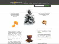 sandramaccaud.ch Webseite Vorschau