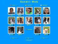 sandri-web.ch Webseite Vorschau