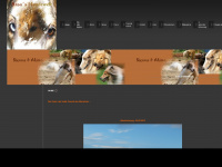 sasas-hundewelt.de Webseite Vorschau