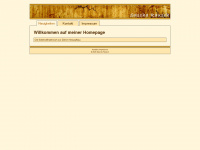 sascharausch.de Webseite Vorschau