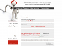 satservice.at Webseite Vorschau