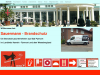 sauermann-brandschutz.de Webseite Vorschau