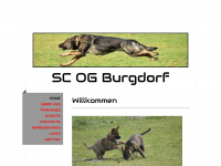 sc-og-burgdorf.ch Webseite Vorschau