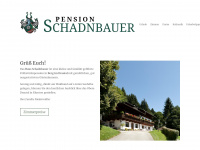 schadnbauer.at Webseite Vorschau
