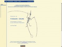 fossilien-online.de Webseite Vorschau