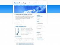 schick-consulting.de Webseite Vorschau