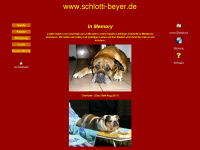schlotti-beyer.de Webseite Vorschau