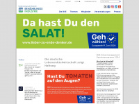 bve-online.de Webseite Vorschau