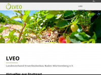 lveo.de Webseite Vorschau