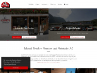schmid-saanen.ch Webseite Vorschau
